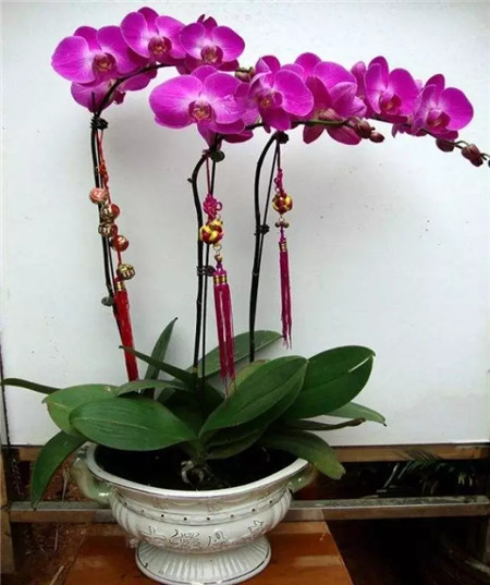 http://yangzhinew.oss-cn-hangzhou.aliyuncs.com/data/upload/2025-04-18/2093eed8f6467d51c8351c90c992c0b62247add1.jpeg