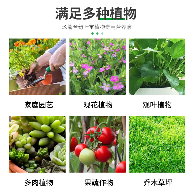 免稀释植物营养液生根液盆栽富贵竹绿叶移栽扦插绿植营养发根肥料