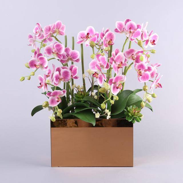 http://yangzhinew.oss-cn-hangzhou.aliyuncs.com/data/upload/2025-04-18/9000351e939735659e24dc77cbdee7ad3993d9e8.jpeg