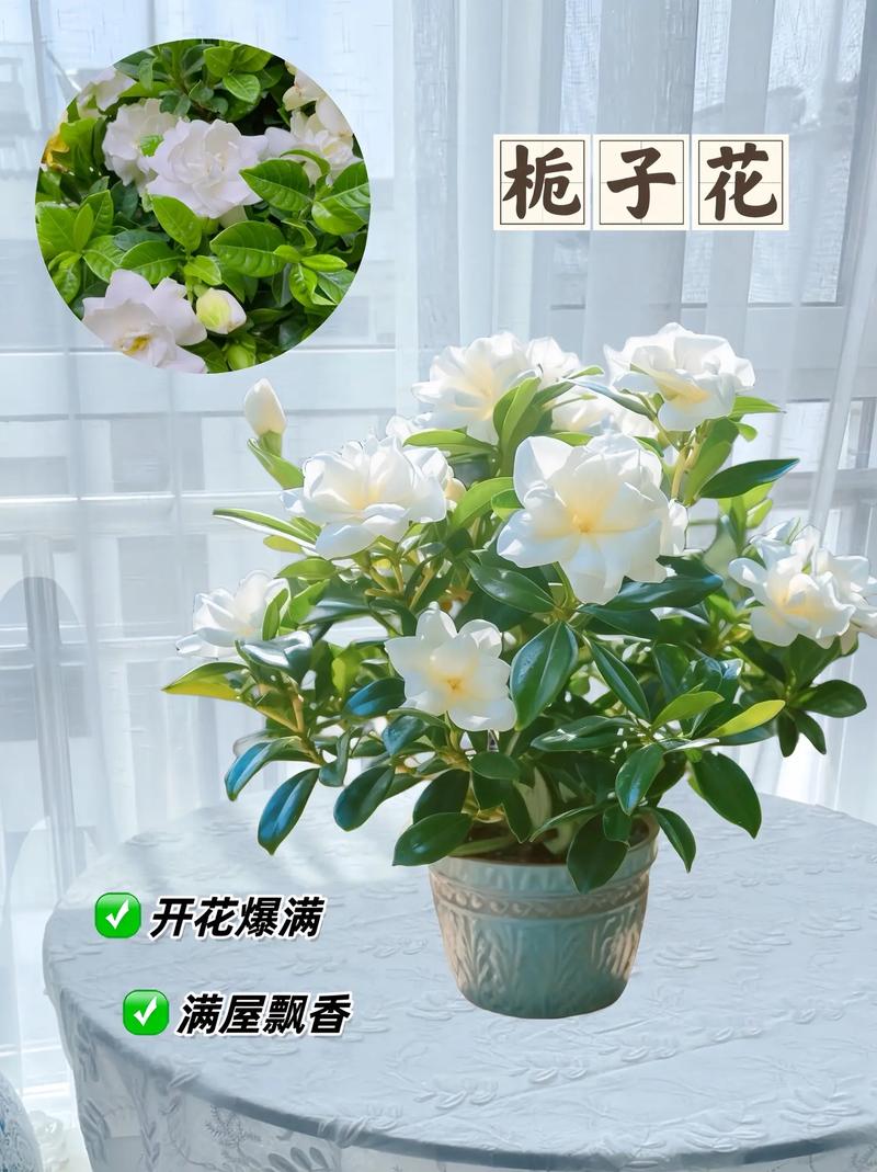 http://yangzhinew.oss-cn-hangzhou.aliyuncs.com/data/upload/2025-04-22/8d6ecd503e4fe09eb2fcf30e9a615ebac7abe42c.png