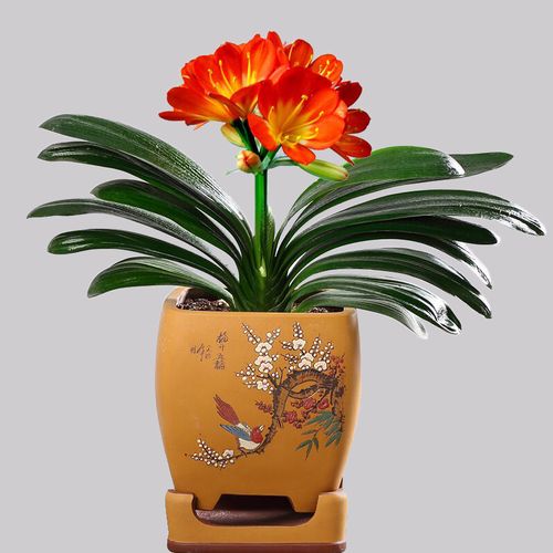 http://yangzhinew.oss-cn-hangzhou.aliyuncs.com/data/upload/2025-04-22/9b3501c97a58ce92708821f2dbb39ee4aa825700.png