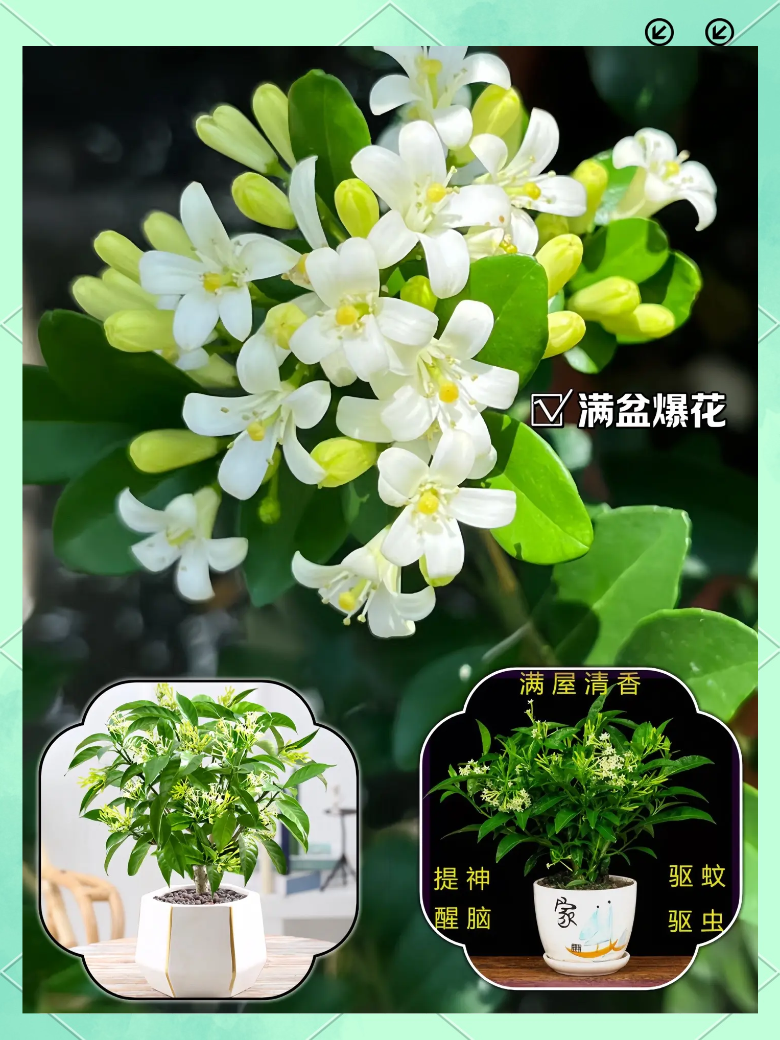 http://yangzhinew.oss-cn-hangzhou.aliyuncs.com/data/upload/2025-04-22/f0185861559eed8a0a880cb81c9054a623108216.png