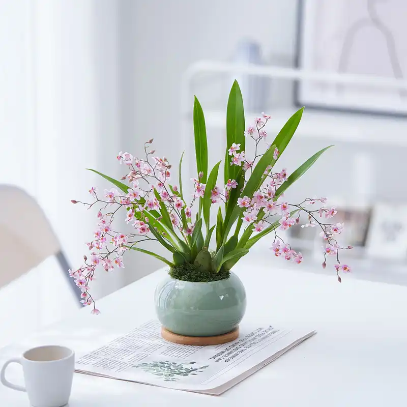 http://yangzhinew.oss-cn-hangzhou.aliyuncs.com/data/upload/2025-04-23/5f1362b91da74db8c841b0f2d9da765fb9cbe69f.png