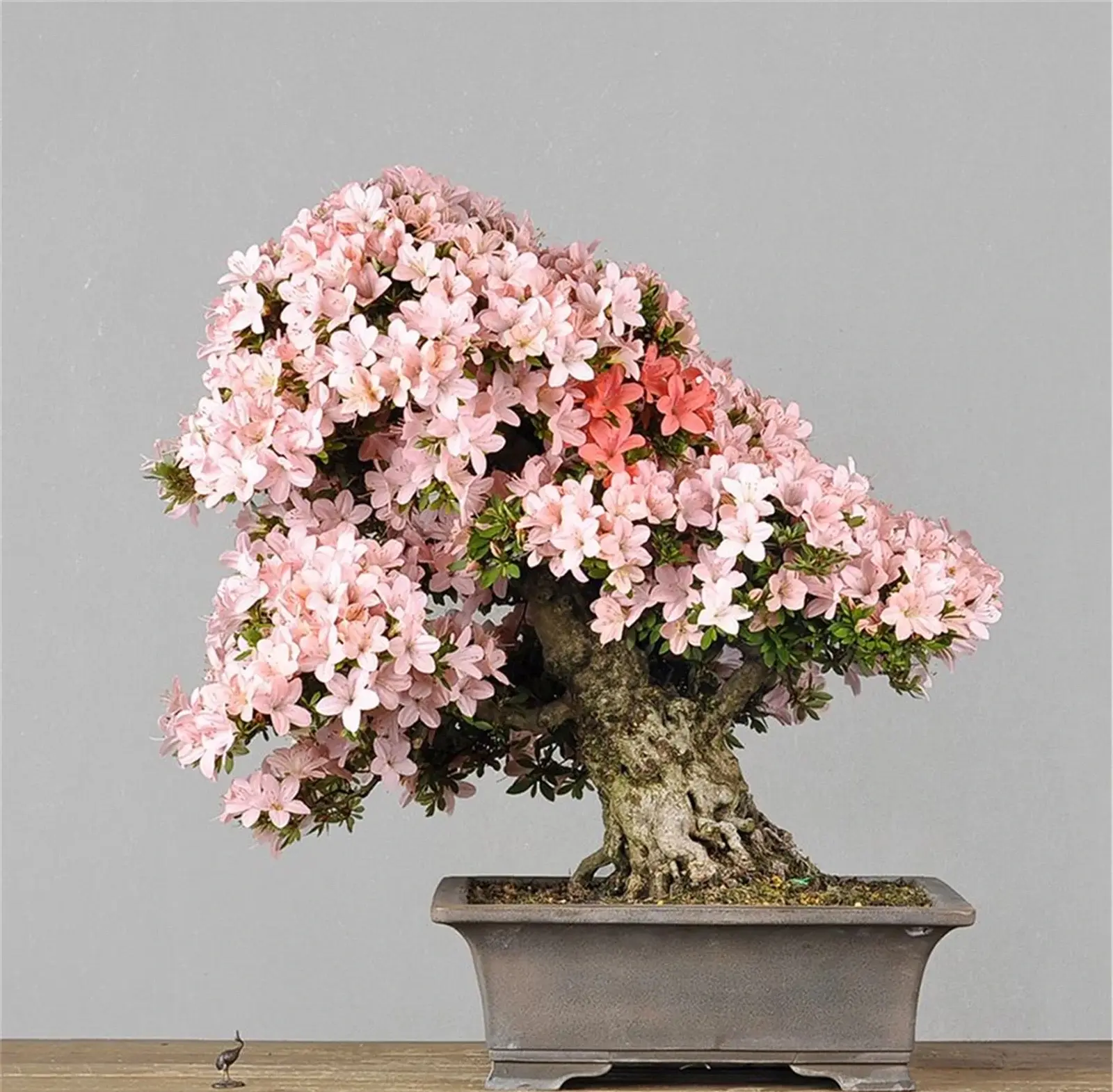 http://yangzhinew.oss-cn-hangzhou.aliyuncs.com/data/upload/2025-04-23/b3e5f4bf6b7c6c964679da9c865a5135c2e129cc.png