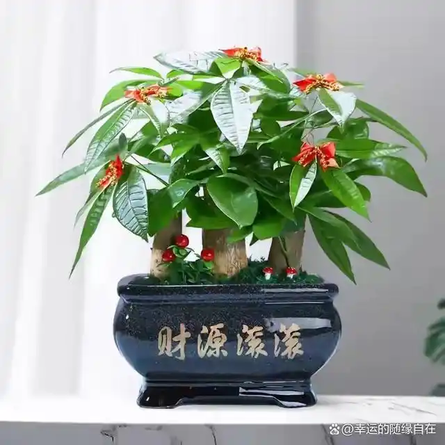 http://yangzhinew.oss-cn-hangzhou.aliyuncs.com/data/upload/2025-04-26/1d882402f169095fae5341c52b782865624880c1.png